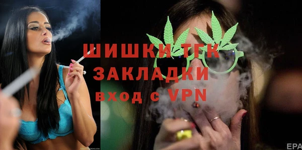 дурь Заводоуковск