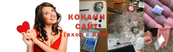 дурь Заводоуковск