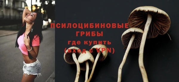 дурь Заводоуковск