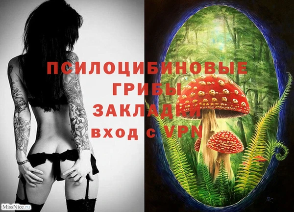метадон Заволжск
