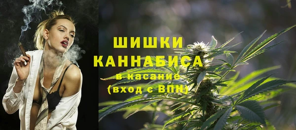 дурь Заводоуковск
