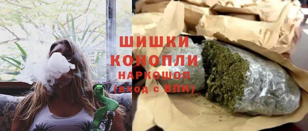 дурь Заводоуковск
